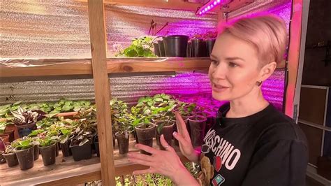 КУСТОВАЯ ПЕТУНИЯ РАСПИКИРОВАНА БИДЕНС УКОРЕНИЛСЯ - YouTube