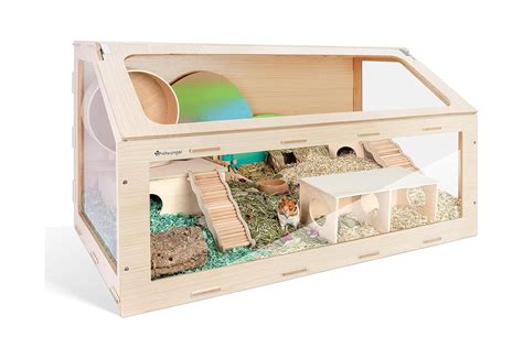 Best hamster cages for creating a cosy, enriching home