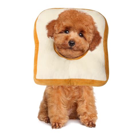 HOMBYS Soft Dog Cone for Dogs and Cats, Cute Toast Shapes for Claming