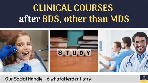 What After Bds Series Part 2 Clinical Courses After Bds Other Than Mds What To Do Youtube