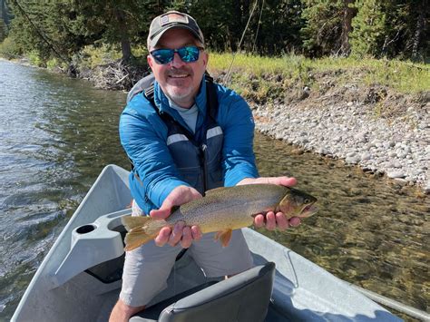 Jackson Hole Gallery — Stribling And Co