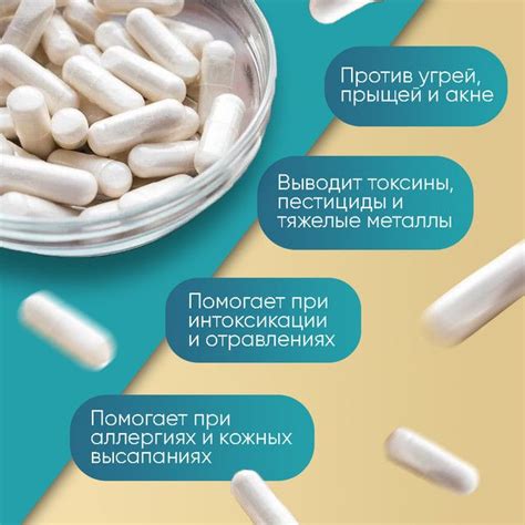 Цеолит в капсулах 90 шт - купить с доставкой по выгодным ценам в ...