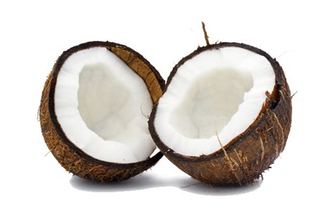 Coconut PNG Transparent Images | PNG All