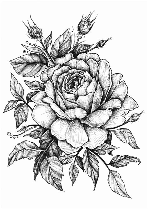 sketch | Coloring | Rose drawing tattoo, Flower tattoo designs ...