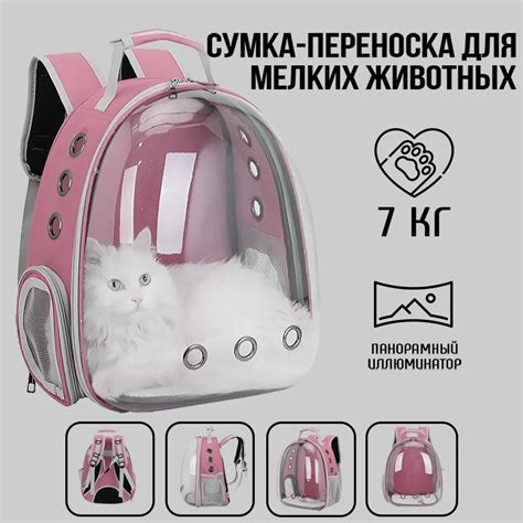 Рюкзак переноска для кошек и собак мелких пород - купить с доставкой по ...
