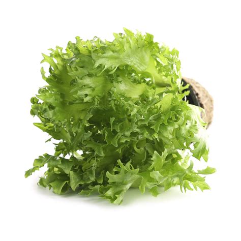 Купить салат фриллис листовой свежий 100г с доставкой на дом в магазине ...
