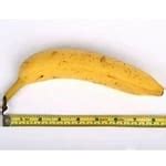 Uk Sex Documentary Spoons British Brunette Brunette Porn Xhamster