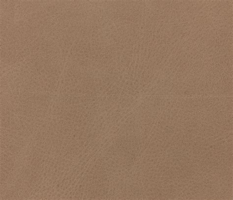 Fae Palermo Nude Leather Dining Chair From Four Hands Coleman Furniture