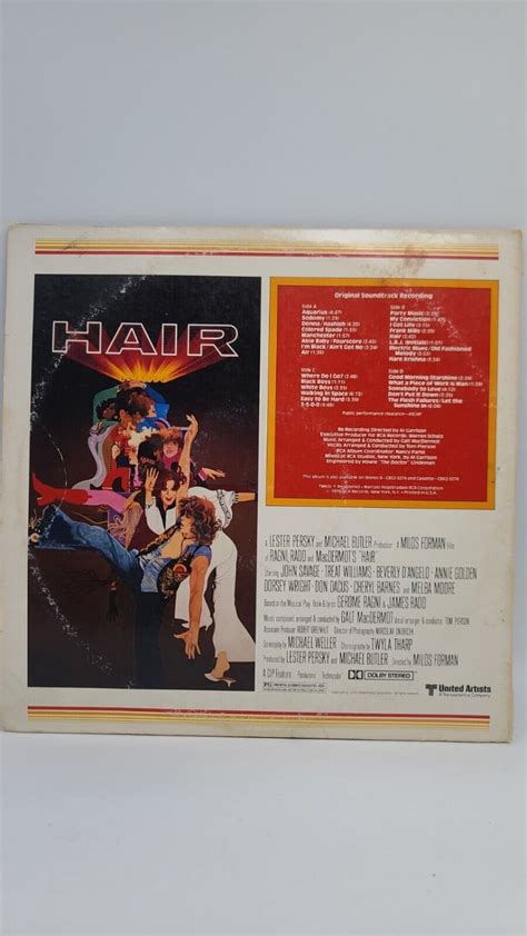 HAIR ~ ORIGINAL SOUNDTRACK RECORDING 2 VINYL RECORDS ~ 2LP's / 1979