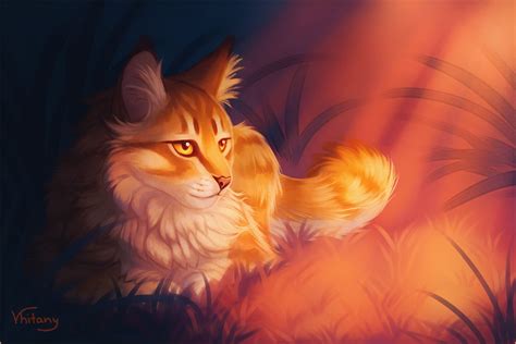 Mothwing Warrior Cats