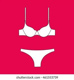 Lingerie Bras Panties Sexy Lingerie Pantie Stock Vector Royalty Free 521211091