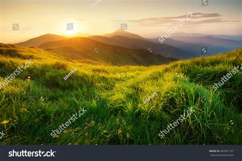 2,061,630 Nature Morning Sunlight Images, Stock Photos & Vectors | Shutterstock