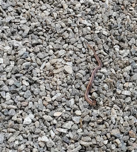 Best Kerala India Images On Pholder Interestingasfuck Earth Porn And Whatsthissnake