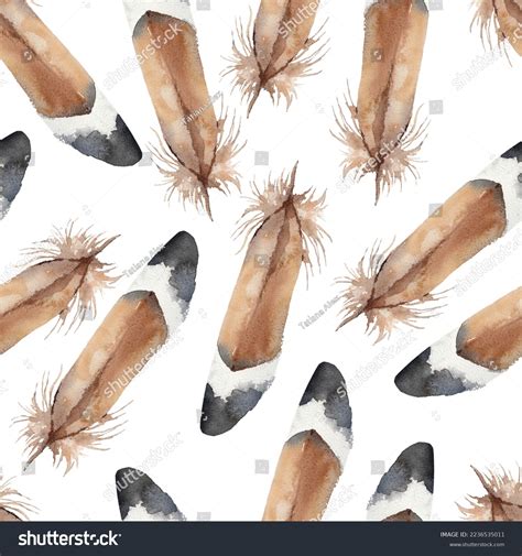 66 Pennaceous Feather Images Stock Photos And Vectors Shutterstock
