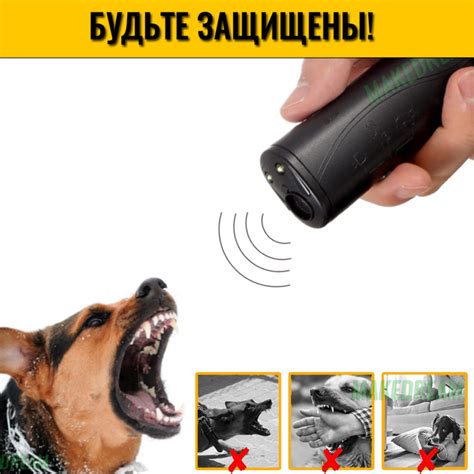 Професійний потужний ультразвуковий відлякувач собак ANTI DOG 100 ...