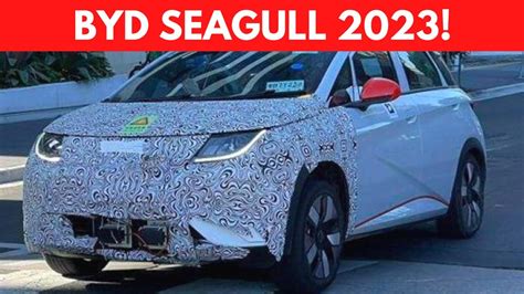 Byd Seagull Youtube