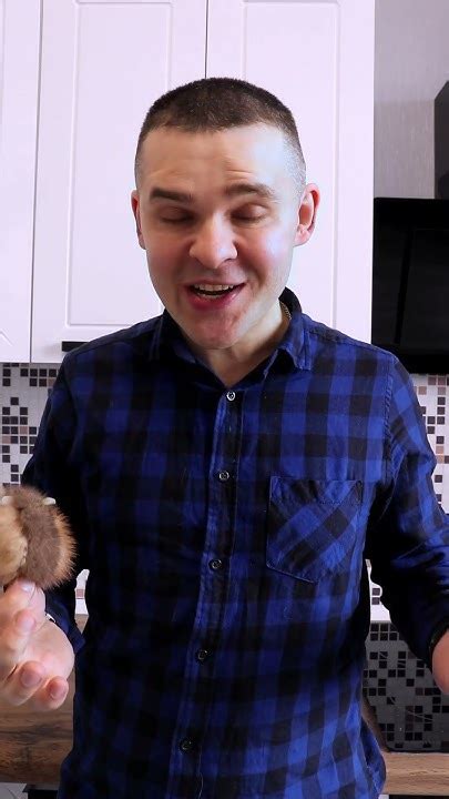 ЛЮБИМАЯ ИГРУШКА БЕЛКИ И НЮШИ#cat - YouTube