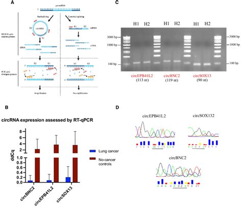 Validation Of Ncounter Results By Rt Qpcr And Further Sanger