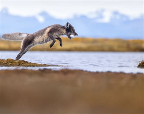 Links Naked Capitalism