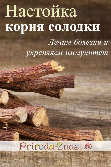 Настойка солодки – целебное «лакомство» против болезней | Рецепты ...