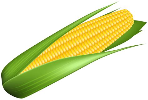 corn transparent image gallery yopriceville high quality