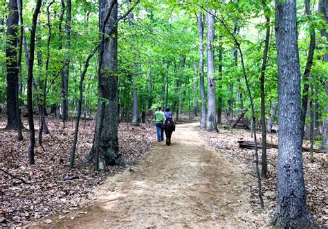 The Best Places In The Dc Area To Enjoy A Beautiful Day Outdoors With