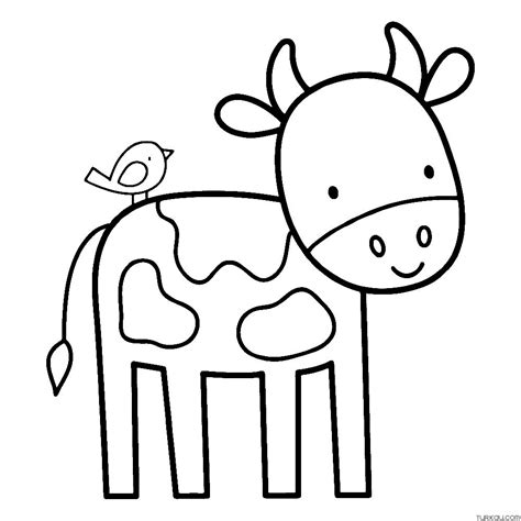 Animal Peregrine Falcon Bird Coloring Page » Turkau