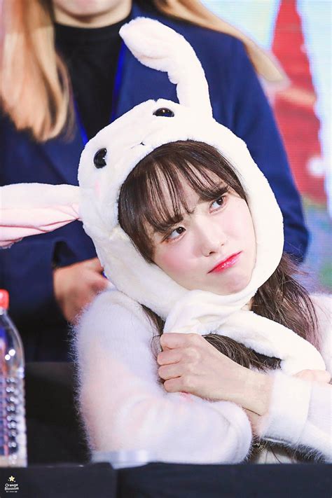 Bunny Luda Scrolller