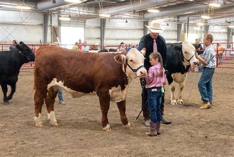 Showing animals and learning lessons at the Dane County Fair ...