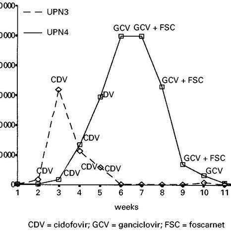 The Viral Load Following Cidofovir As Measured By A Quantitative Pcr