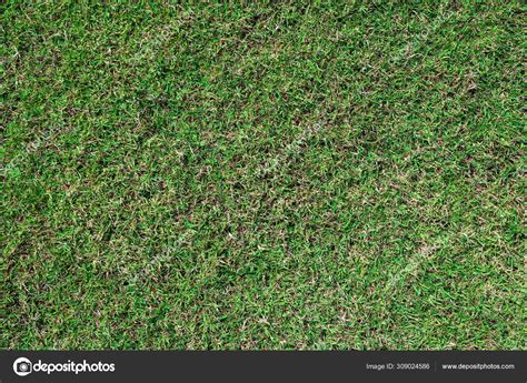 Green grass ground texture background in fresh spring. — Stock Photo ...