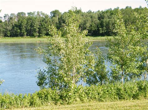 Moose Lake Mb Nacc
