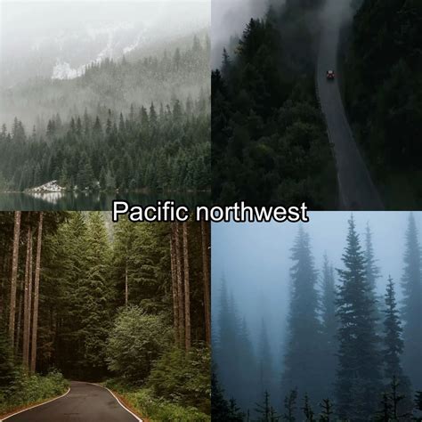 Best 13 The Pacific NorthWest On Film. A Journey From Seattle To The ...