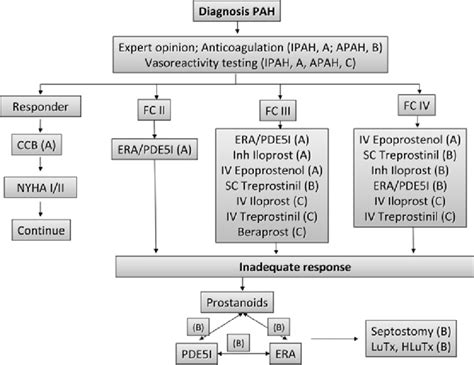 Treatment Algorithm Of Pulmonary Arterial Hypertension Pah Following Download Scientific