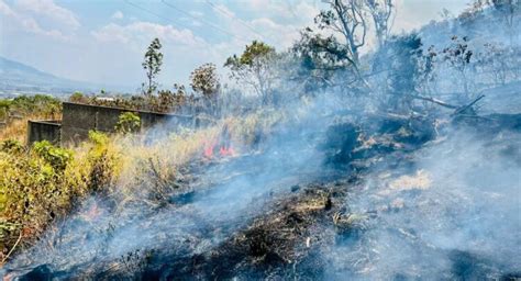 Nayarit Lucha Ante El Incendio Del Cerro De San Juan Noticias De La