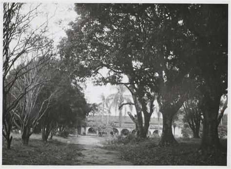 Chácara do Visconde ou Casa de Monteiro Lobato Aspecto do parque ao