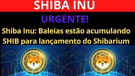 SHIBA INU URGENTE BALEIAS estão acumulando SHIB para lançamento do