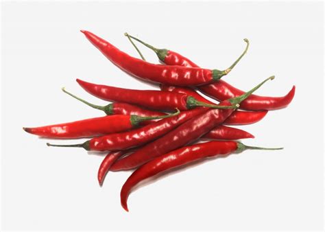 Dutch Design Week And Design Academy Awarded In Dezeens Hot List IO