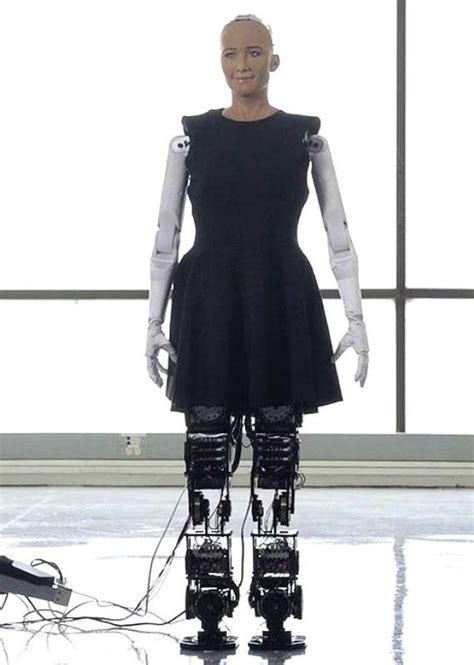 Sophia Robot Robot Humanoid Robot