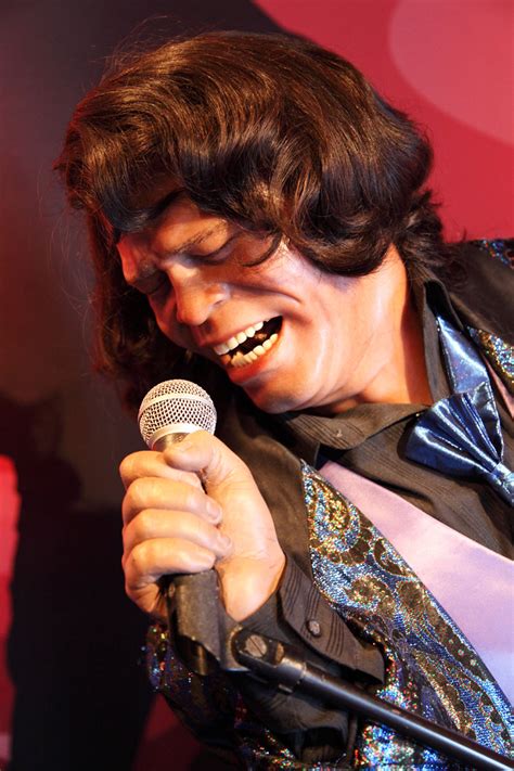James Brown Free Stock Photo Public Domain Pictures