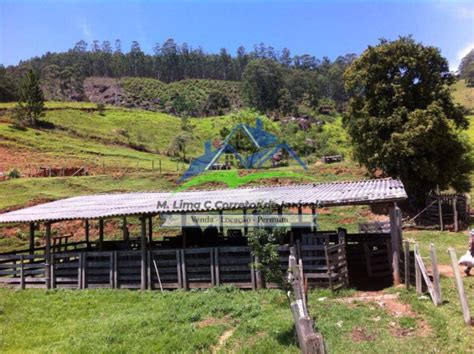 Fazenda Venda Em Zona Rural Piracaia Im Vel Guide