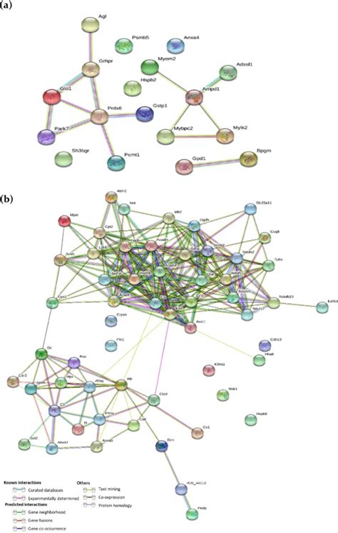 Proteomics Data Analysis Using Bioinformatics For Protein ...