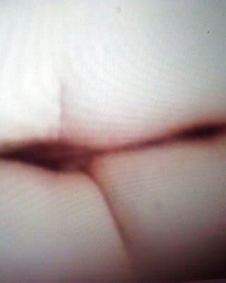My Bbw Hairy Wife Porn Pics PICTOA