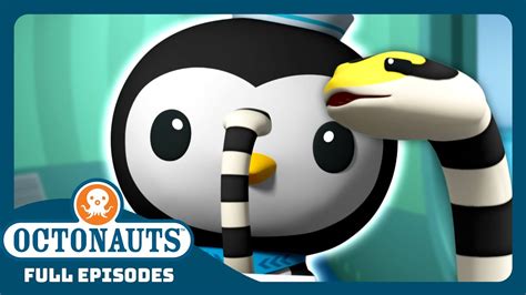 Octonauts 🌀 The Sea Snakes 🐍 Season 2 Full Episodes Cartoons