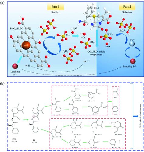 Enhancing Biochar Based Nonradical Persulfate Activation 57 OFF