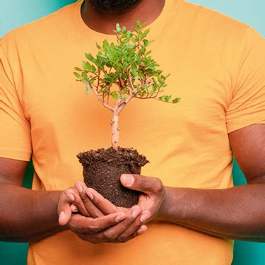 Offizieller Hama Onlineshop | Hama CH