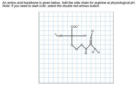 Solved an amino acid backbone is given below. add the | Chegg.com