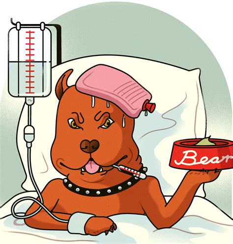 Are Ham Bones Safe For Dogs