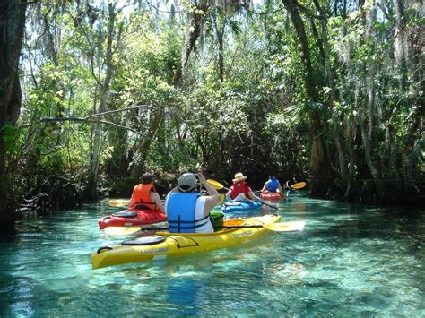 Crystal River, FL for manatee watching Nov-Mar, kayak tours through