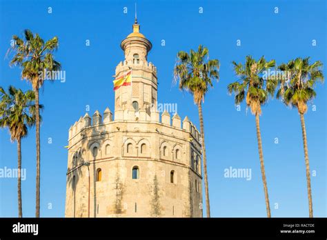 Golden Tower Torre Del Oro Seville Andalusia Spain Europe Stock